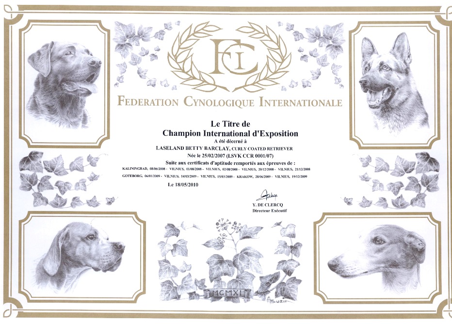 CIE CHAMPION: Certificate Internationale d'Exposition, 2010 05 18