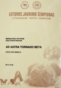 Ad Astra Tornado Beta_LT Junior CH